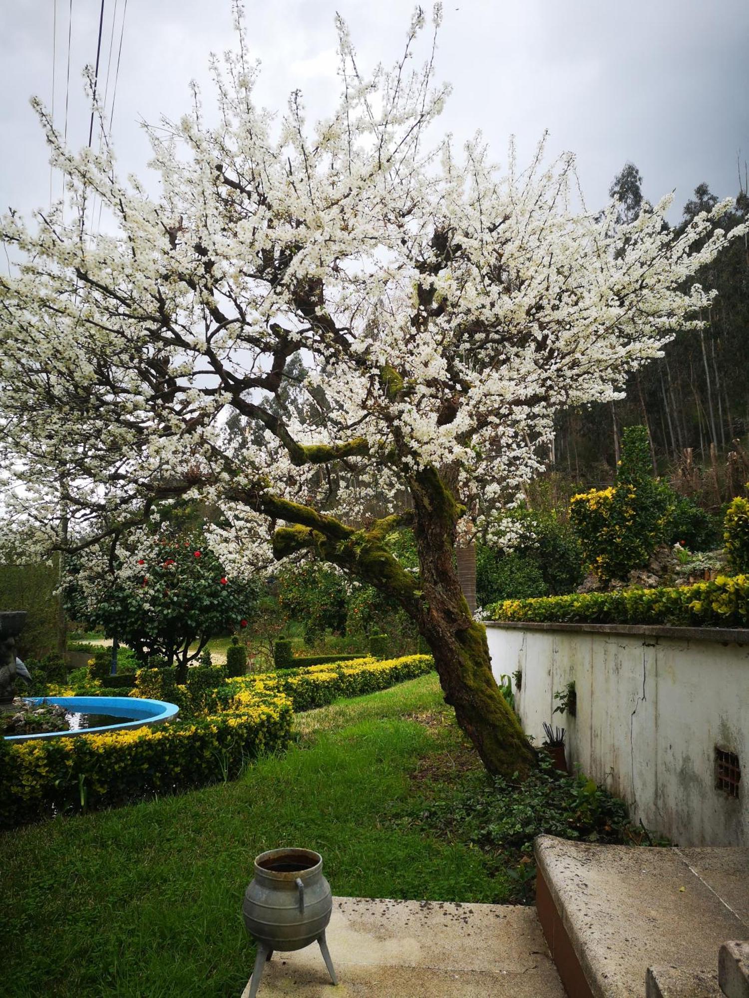אבאירו Quinta Das Aguias מראה חיצוני תמונה