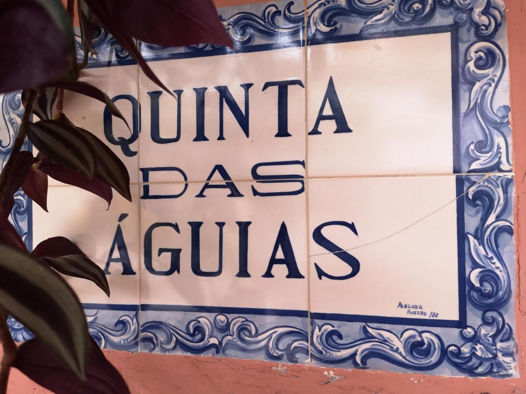 אבאירו Quinta Das Aguias מראה חיצוני תמונה
