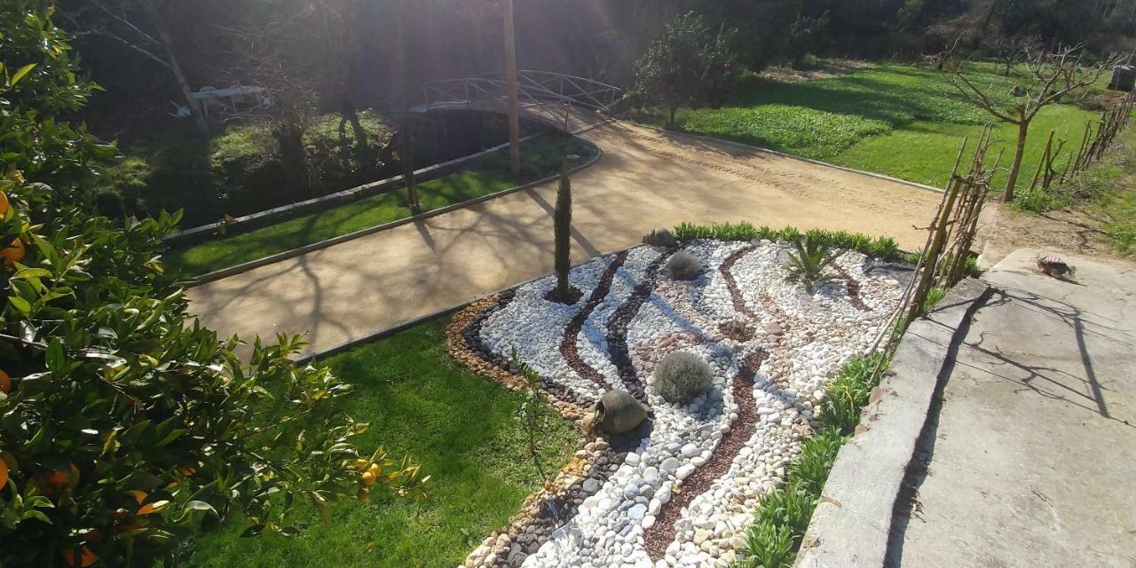 אבאירו Quinta Das Aguias מראה חיצוני תמונה